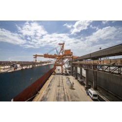 Com alta da soja, Paraná registra maior volume de exportações para janeiro da história